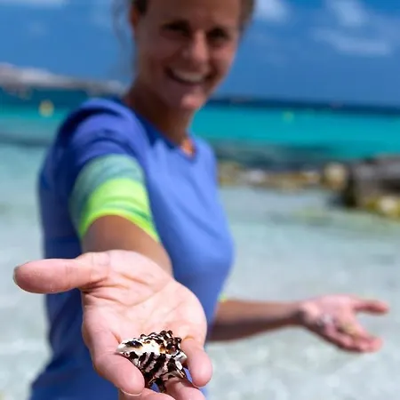 Margarita 85 By Book Menorca *