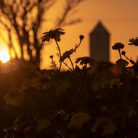 Margarita 85 By Book Menorca * Son Bou