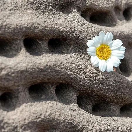 Margarita 85 By Book Menorca * Сон-Боу