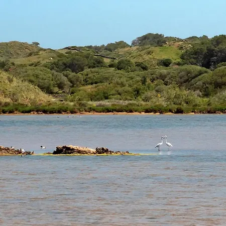 Margarita 85 By Book Menorca * Сон-Боу