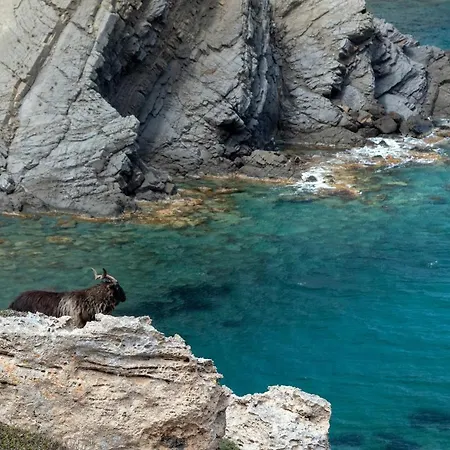 Вилла Margarita 85 By Book Menorca *